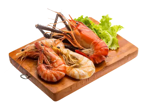 Japanese Recipes